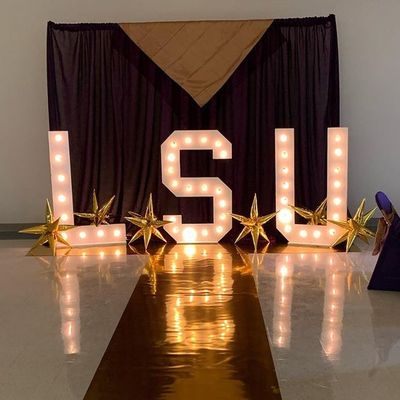 オーダーメイド サイズ ステンレス スチール LED マークイ 文字 屋外 結婚式 パーティ ディスプレイ