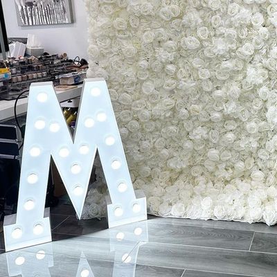 12V 入力電圧 大型照明3D文字 結婚してください LEDマーキーサイン 結婚式